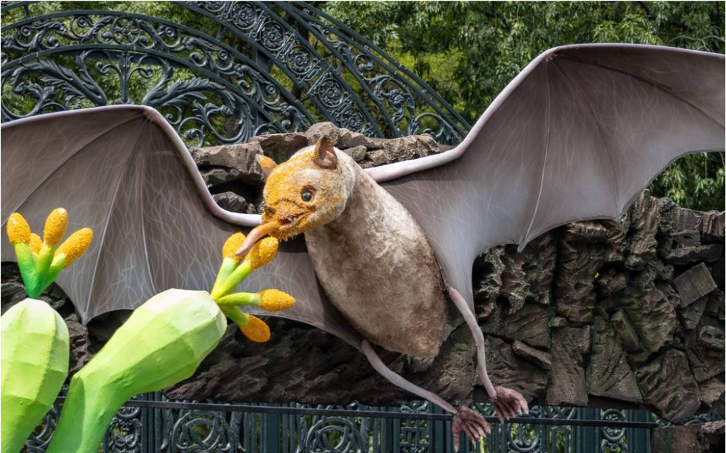 Quiróptera 2024: El Festival del Bosque de Chapultepec celebra a los murciélagos y su Esencial rol ecológico