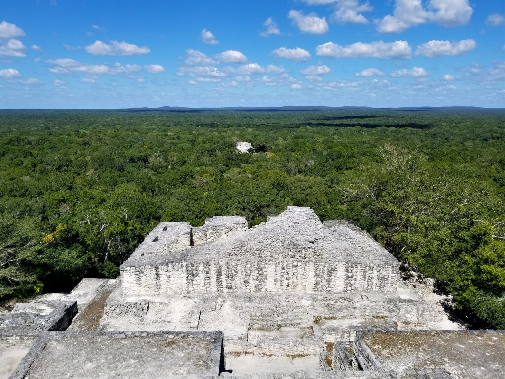 Descubre Calakmul en 2024: Una Aventura Maya en el corazón de la selva