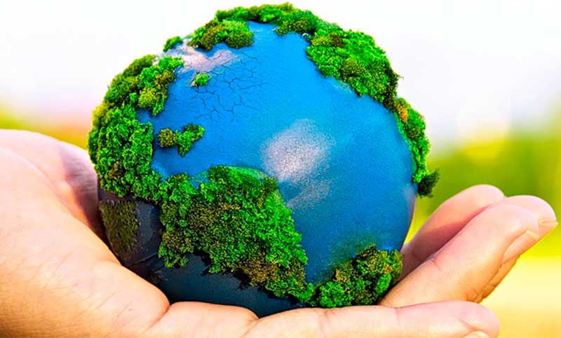 Celebrando el Día Mundial del Medio Ambiente: Reimagina, recrea, restaura